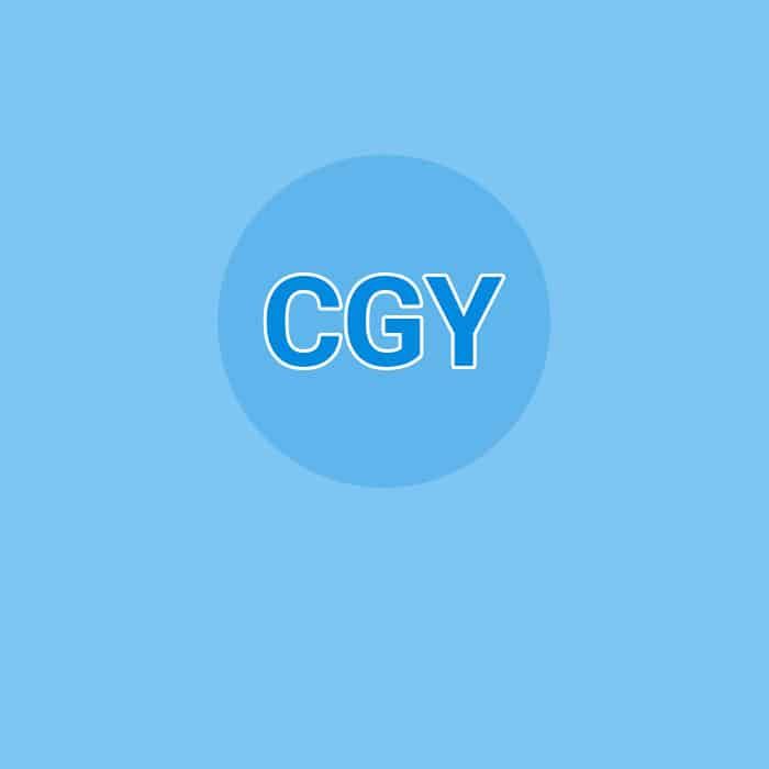 Chrystèle GORGY-YILDISKAYA